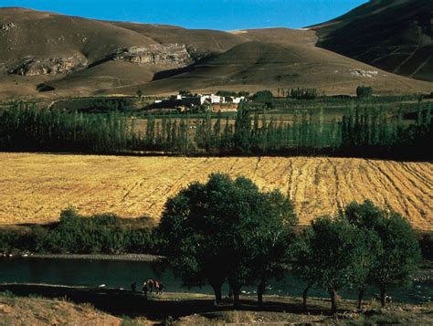  Agricultural Odyssey: A Journey Through Ancient Iranian Farming Practices