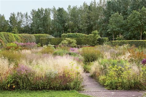  Piet Oudolf's Planting: A Modern Guide to Creating Gardens - Exploring the Rhythms of Nature through Sculptural Plant Arrangements