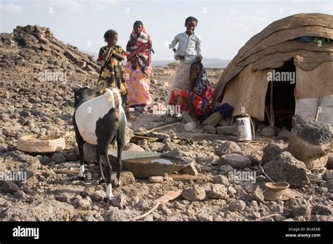 Afar: Capturing the Nomadic Soul of Ethiopia!