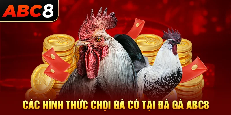 Các hình thức chọi kê có tại đá gà ABC8