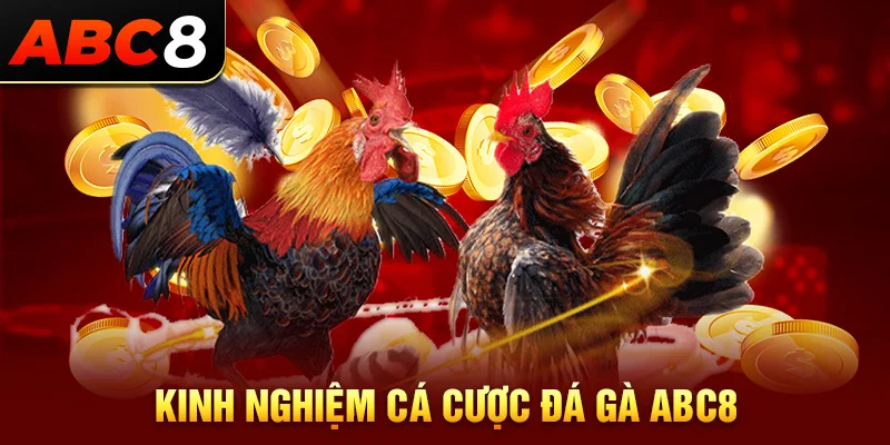 Kinh nghiệm cá cược tại đá gà ABC8