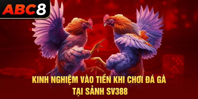 Kinh nghiệm cá cược đá gà tại sảnh SV388