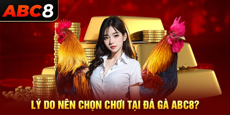 Lý do nên chọn đá gà ABC8 để tham gia?