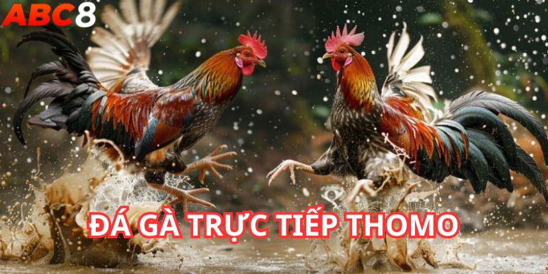 Ưu điểm khi xem trực tiếp đá gà Thomo